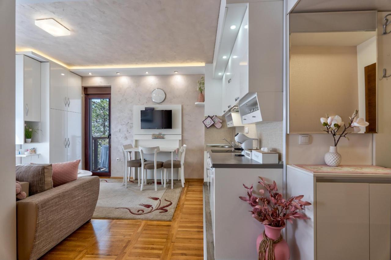 Apartman Tajena Zlatibor Extérieur photo